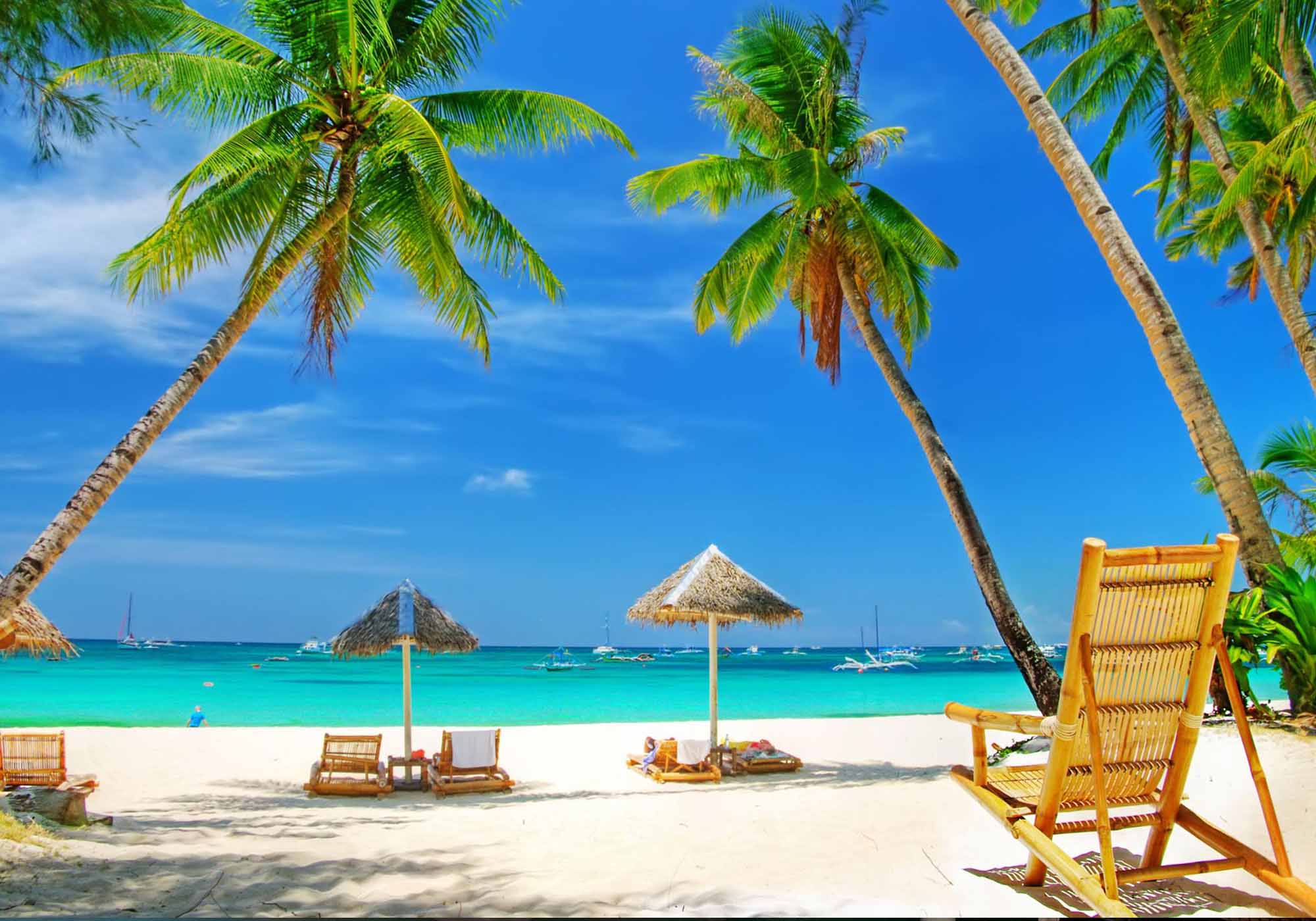 Old and New Delhi City Tour