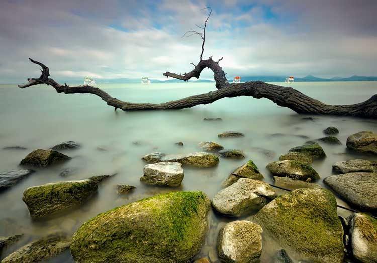 Old and New Delhi City Tour